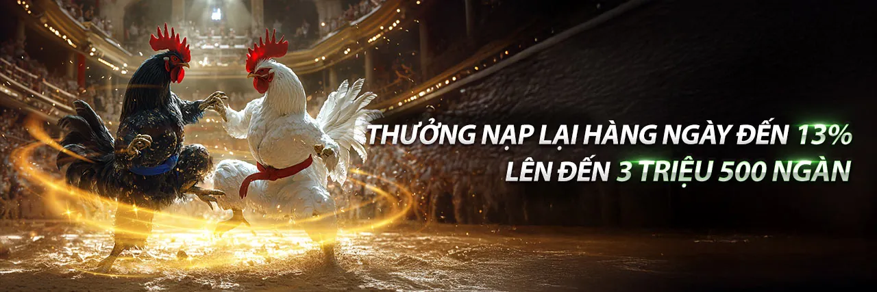 Thông báo mới nhất từ ava8888 với các ưu đãi độc quyền